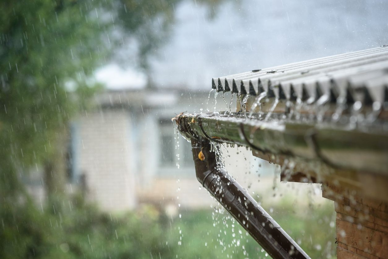 Gutter Cleaning